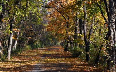 Photo Contest